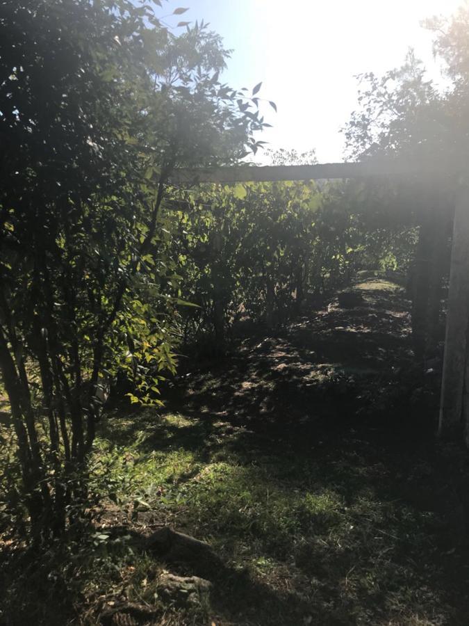 Villa Anede Río Ceballos Exterior foto